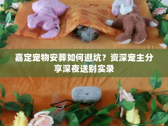 嘉定宠物安葬如何避坑？资深宠主分享深夜送别实录