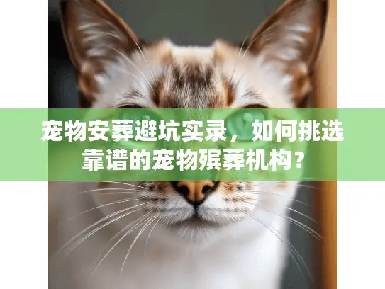 宠物安葬避坑实录，如何挑选靠谱的宠物殡葬机构？