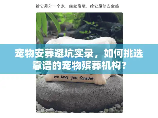 宠物安葬避坑实录，如何挑选靠谱的宠物殡葬机构？
