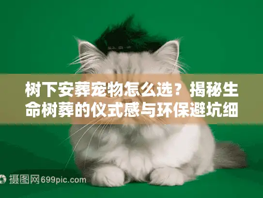 树下安葬宠物怎么选？揭秘生命树葬的仪式感与环保避坑细节