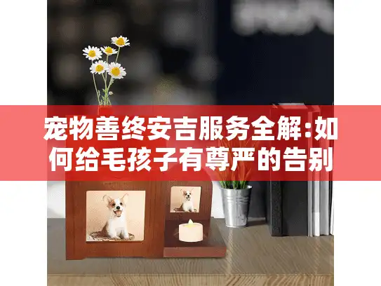 宠物善终安吉服务全解:如何给毛孩子有尊严的告别