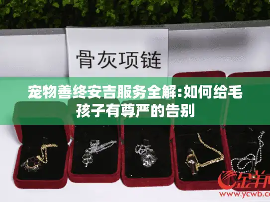 宠物善终安吉服务全解:如何给毛孩子有尊严的告别