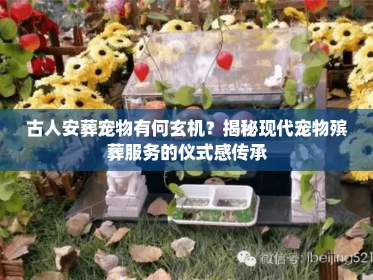 古人安葬宠物有何玄机？揭秘现代宠物殡葬服务的仪式感传承