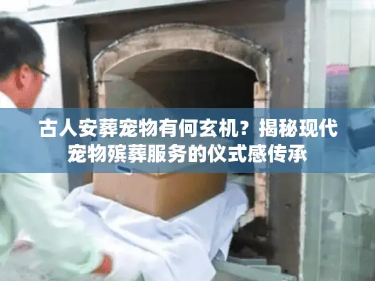 古人安葬宠物有何玄机？揭秘现代宠物殡葬服务的仪式感传承