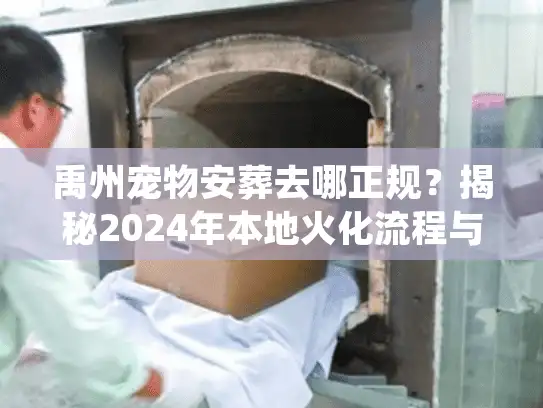 禹州宠物安葬去哪正规？揭秘2024年本地火化流程与避坑细节
