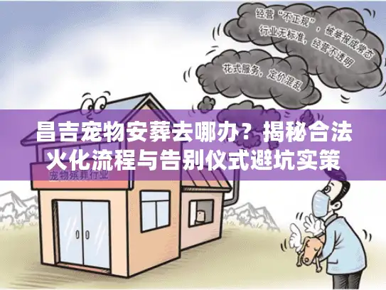 昌吉宠物安葬去哪办？揭秘合法火化流程与告别仪式避坑实策