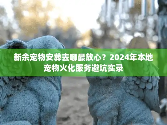 新余宠物安葬去哪最放心？2024年本地宠物火化服务避坑实录