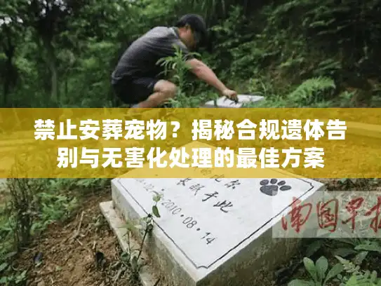 禁止安葬宠物？揭秘合规遗体告别与无害化处理的最佳方案