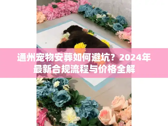 通州宠物安葬如何避坑？2024年最新合规流程与价格全解