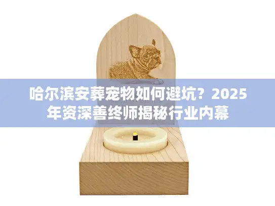 哈尔滨安葬宠物如何避坑？2025年资深善终师揭秘行业内幕