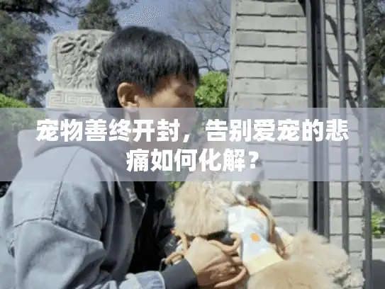 宠物善终开封，告别爱宠的悲痛如何化解？