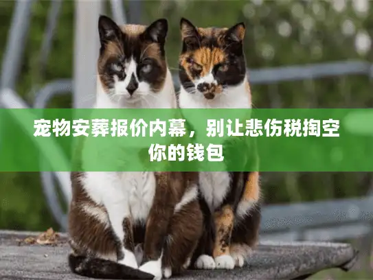宠物安葬报价内幕，别让悲伤税掏空你的钱包
