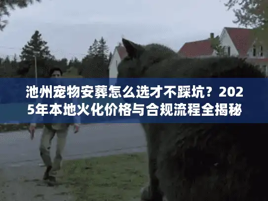 池州宠物安葬怎么选才不踩坑？2025年本地火化价格与合规流程全揭秘