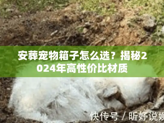 安葬宠物箱子怎么选？揭秘2024年高性价比材质