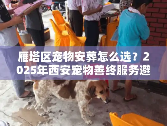 雁塔区宠物安葬怎么选？2025年西安宠物善终服务避坑与价格揭秘