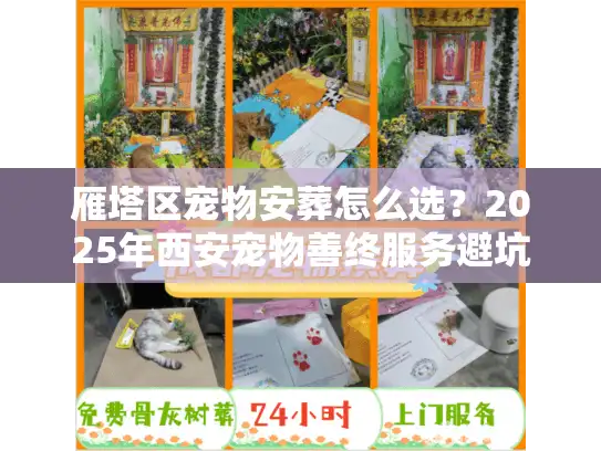 雁塔区宠物安葬怎么选？2025年西安宠物善终服务避坑与价格揭秘