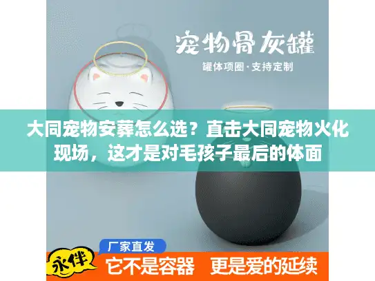 大同宠物安葬怎么选？直击大同宠物火化现场，这才是对毛孩子最后的体面