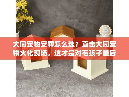大同宠物安葬怎么选？直击大同宠物火化现场，这才是对毛孩子最后的体面