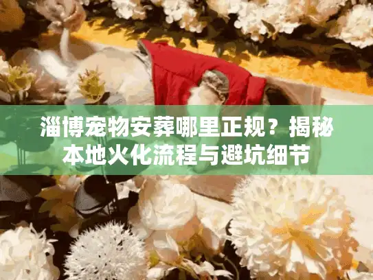 淄博宠物安葬哪里正规？揭秘本地火化流程与避坑细节