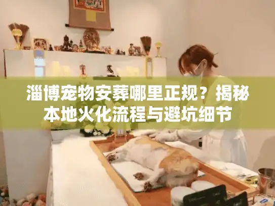 淄博宠物安葬哪里正规？揭秘本地火化流程与避坑细节