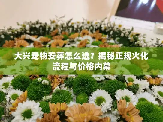 大兴宠物安葬怎么选？揭秘正规火化流程与价格内幕