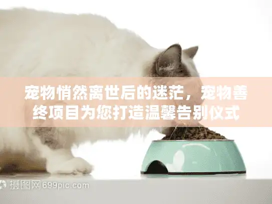 宠物悄然离世后的迷茫，宠物善终项目为您打造温馨告别仪式
