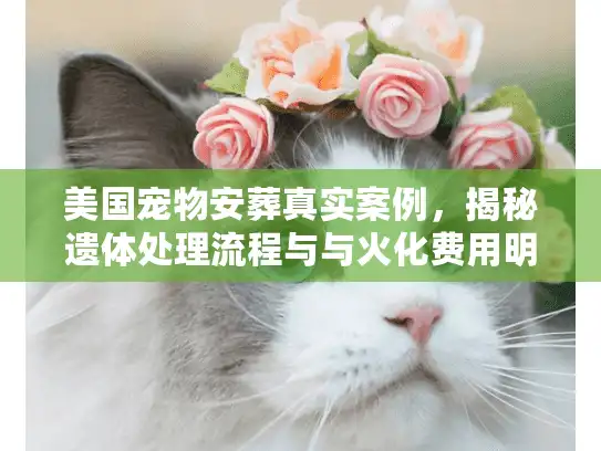 美国宠物安葬真实案例，揭秘遗体处理流程与与火化费用明细