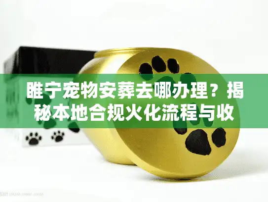 睢宁宠物安葬去哪办理？揭秘本地合规火化流程与收费标准