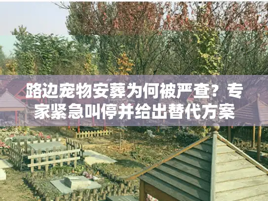 路边宠物安葬为何被严查？专家紧急叫停并给出替代方案