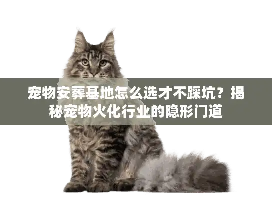 宠物安葬基地怎么选才不踩坑？揭秘宠物火化行业的隐形门道