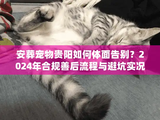 安葬宠物贵阳如何体面告别？2024年合规善后流程与避坑实况
