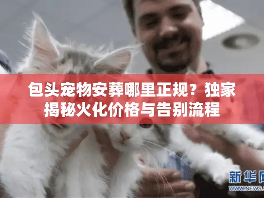包头宠物安葬哪里正规？独家揭秘火化价格与告别流程
