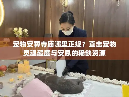 宠物安葬寺庙哪里正规？直击宠物灵魂超度与安息的稀缺资源