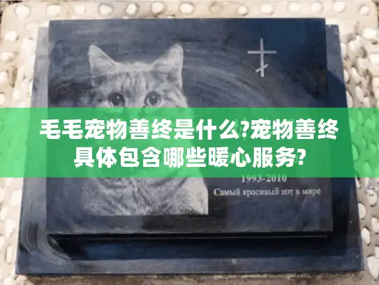 毛毛宠物善终是什么?宠物善终具体包含哪些暖心服务?