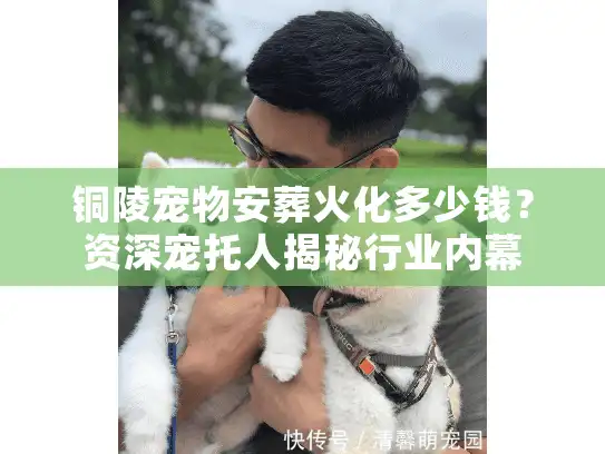 铜陵宠物安葬火化多少钱？资深宠托人揭秘行业内幕