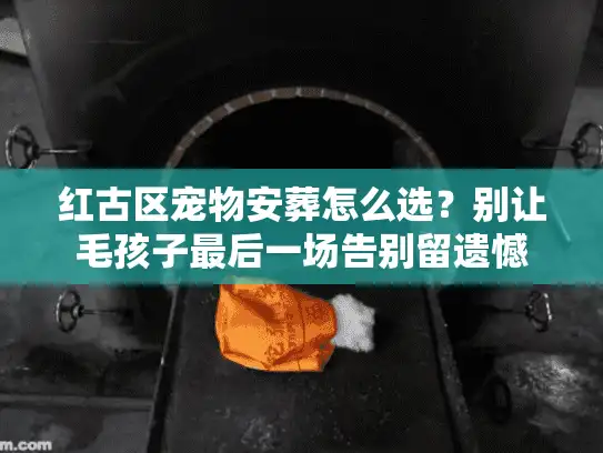 红古区宠物安葬怎么选？别让毛孩子最后一场告别留遗憾