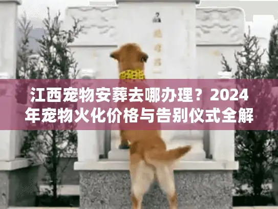 江西宠物安葬去哪办理？2024年宠物火化价格与告别仪式全解析