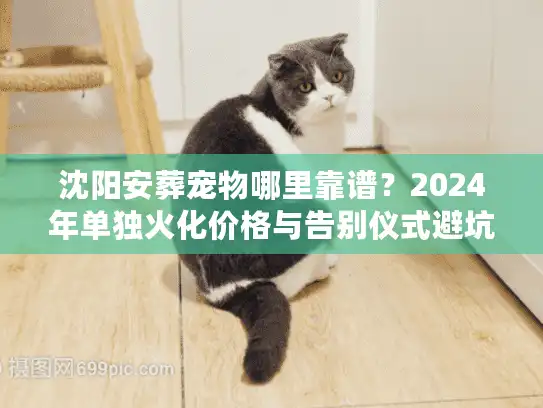 沈阳安葬宠物哪里靠谱？2024年单独火化价格与告别仪式避坑实录