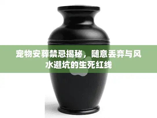 宠物安葬禁忌揭秘，随意丢弃与风水避坑的生死红线