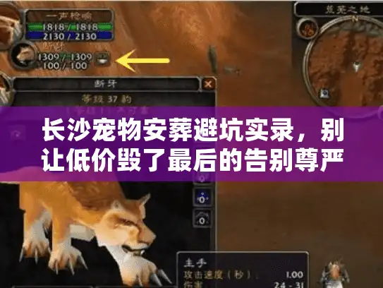 长沙宠物安葬避坑实录，别让低价毁了最后的告别尊严