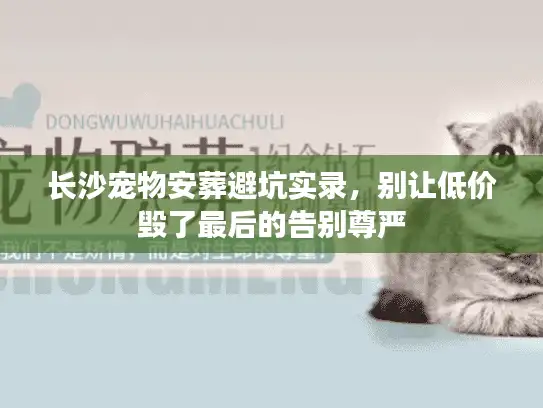 长沙宠物安葬避坑实录，别让低价毁了最后的告别尊严