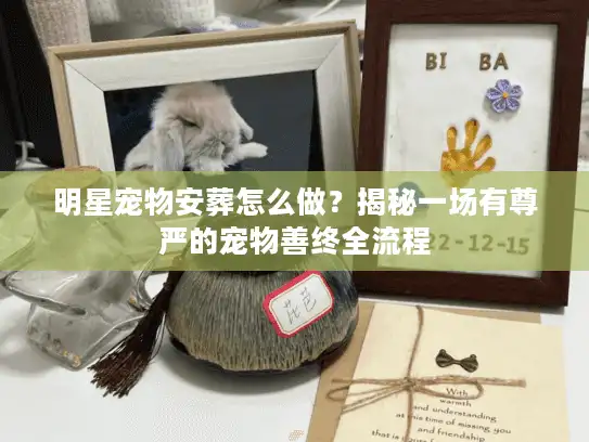 明星宠物安葬怎么做？揭秘一场有尊严的宠物善终全流程