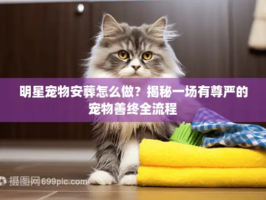 明星宠物安葬怎么做？揭秘一场有尊严的宠物善终全流程