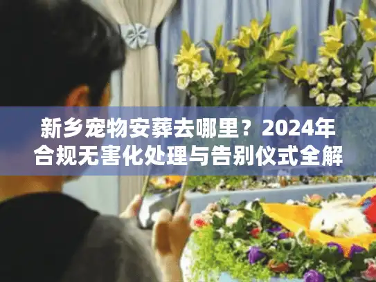 新乡宠物安葬去哪里？2024年合规无害化处理与告别仪式全解析