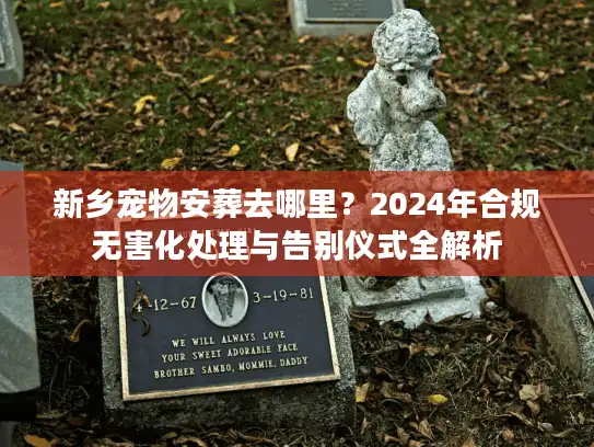新乡宠物安葬去哪里？2024年合规无害化处理与告别仪式全解析