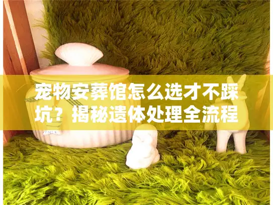 宠物安葬馆怎么选才不踩坑？揭秘遗体处理全流程与隐形消费