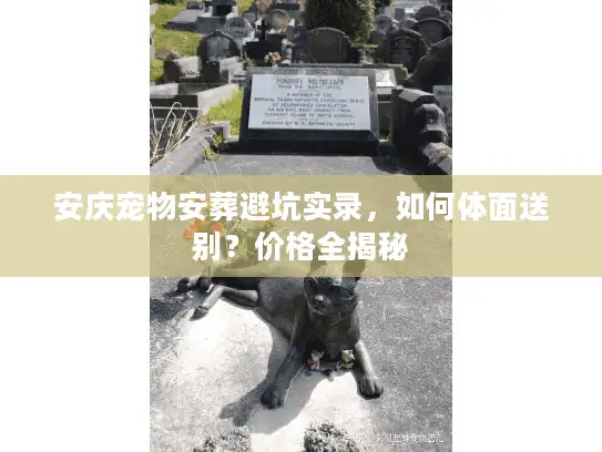 安庆宠物安葬避坑实录，如何体面送别？价格全揭秘