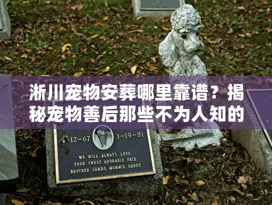 淅川宠物安葬哪里靠谱？揭秘宠物善后那些不为人知的内幕