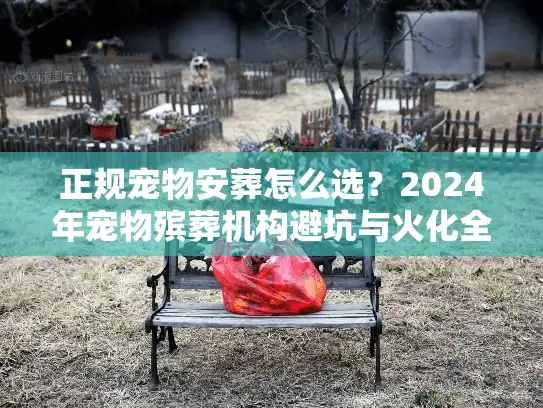 正规宠物安葬怎么选？2024年宠物殡葬机构避坑与火化全流程实测