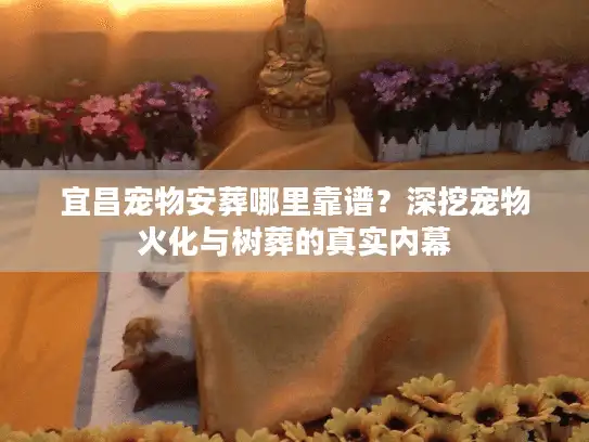 宜昌宠物安葬哪里靠谱？深挖宠物火化与树葬的真实内幕